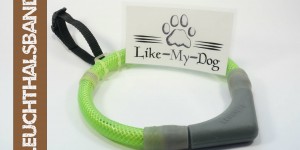 Beitragsbild des Blogbeitrags Leuchthalsband im Test – Das Leuchtie®