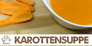 Beitragsbild des Blogbeitrags Kurztipp: Morosche Karottensuppe gegen Durchfall 