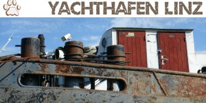 Beitragsbild des Blogbeitrags Dog Trail Yachthafen Linz an der Donau