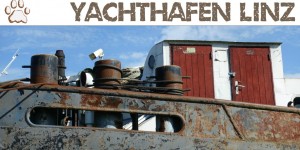 Beitragsbild des Blogbeitrags Dog Trail Yachthafen Linz an der Donau 