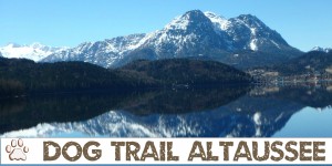 Beitragsbild des Blogbeitrags Dog Trail Altausseersee 