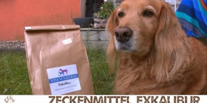 Beitragsbild des Blogbeitrags Zeckenmittel – Kräutermischung Exkalibur