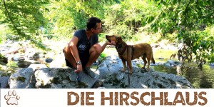 Beitragsbild des Blogbeitrags Die Hirschlausfliege – Die unbekannte Bedrohung