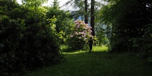 Beitragsbild des Blogbeitrags Corona Urlaub