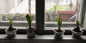 Beitragsbild des Blogbeitrags Lockdown-Tipps