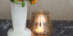 Beitragsbild des Blogbeitrags Mandarin-Rollade