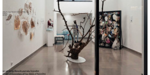 Beitragsbild des Blogbeitrags To another view Teil 2