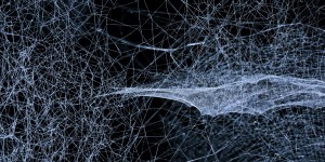 Beitragsbild des Blogbeitrags Künstliche Intelligenz: Wie ein neuronales Netz funktioniert