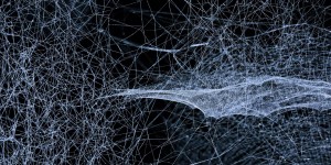 Beitragsbild des Blogbeitrags Online Reputation Management