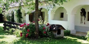 Beitragsbild des Blogbeitrags Museumsdorf Niedersulz Ausflugstipp Schaugärten