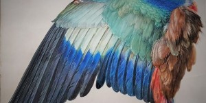Beitragsbild des Blogbeitrags Albrecht Dürer, eine Gesamtschau in Wien, sensationell!
