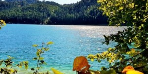 Beitragsbild des Blogbeitrags Erlaufsee Wandern, von Mariazell um den See