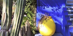 Beitragsbild des Blogbeitrags Majorelle Garten Marrakesch, ein Paradies! 