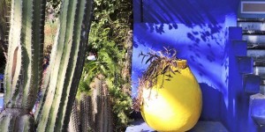 Beitragsbild des Blogbeitrags Majorelle Garten Marrakesch, ein Paradies!