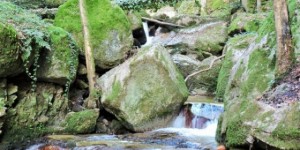 Beitragsbild des Blogbeitrags Bad Kreuzen Wolfsschlucht, Ausflugstipp