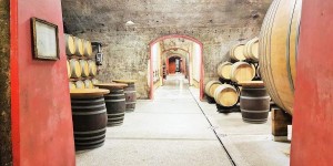 Beitragsbild des Blogbeitrags Wein-Kultur in Slowenien, Klet Brda Weingut 