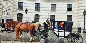 Beitragsbild des Blogbeitrags Ausflug mit den Fiaker-Pferden in Wien 