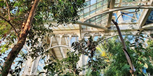 Beitragsbild des Blogbeitrags Palmenhaus Schönbrunn, Ausflug in Wien 