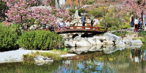 Beitragsbild des Blogbeitrags Setagaya Park ein Blütenzauber voll Magie!