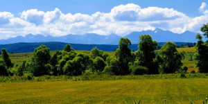 Beitragsbild des Blogbeitrags Ökotourismus in Transsilvanien, Gästehäuser Tipp