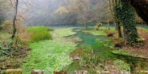 Beitragsbild des Blogbeitrags Bela Krajina Slowenien: Wein, Natur, Genuss