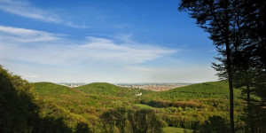 Beitragsbild des Blogbeitrags Wienerwald Ausflugsziele leicht erreichbar 