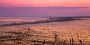 Beitragsbild des Blogbeitrags Watt & Meer Blog-Kalender – März 2019 
