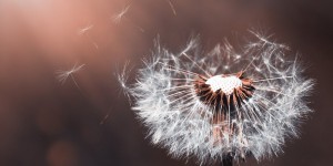 Beitragsbild des Blogbeitrags schönen guten Morgen… 