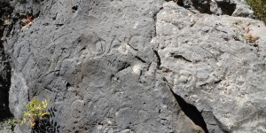 Beitragsbild des Blogbeitrags The forest inscriptions of Hadrian in Mount Lebanon 