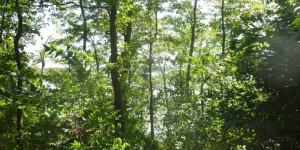 Beitragsbild des Blogbeitrags 2 Parks, 1 Mission [© Jessica Marie Baumgartner] 