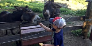 Beitragsbild des Blogbeitrags die letzte Rettung vorm Aufgeben…