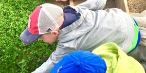 Beitragsbild des Blogbeitrags Dem Kranksein ein Ende!