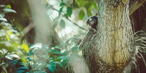 Beitragsbild des Blogbeitrags Abenteuerreise Brasilien Tag 2+19