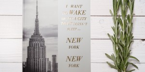 Beitragsbild des Blogbeitrags Weltkarte von Tripmapworld