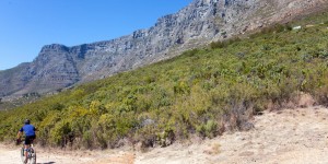 Beitragsbild des Blogbeitrags The Top 5 Cycling Destinations in 2019