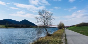 Beitragsbild des Blogbeitrags Frühlingsspaziergang entlang der Donau