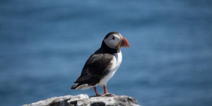 Beitragsbild des Blogbeitrags Reiseplanung Färöer-Inseln – Teil 2: Klima, Kleidung, Kamera