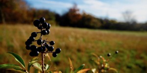 Beitragsbild des Blogbeitrags Wandern im Naturpark Leiser Berge 