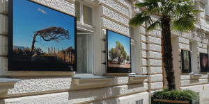 Beitragsbild des Blogbeitrags Ein perfekter Tag in Baden bei Wien