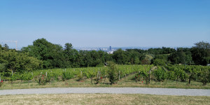 Beitragsbild des Blogbeitrags Ein perfekter Tag in Wien