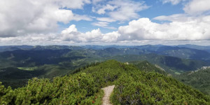 Beitragsbild des Blogbeitrags Wandern in Niederösterreich: Aufstieg zum Göller (1.766 m)
