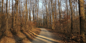 Beitragsbild des Blogbeitrags 5 Wanderungen für den Winter in Wien und Umgebung
