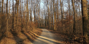 Beitragsbild des Blogbeitrags 5 Wanderungen für den Winter in Wien und Umgebung 