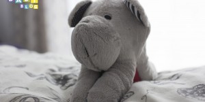 Beitragsbild des Blogbeitrags Der Whisbear – eine tolle Einschlafhilfe für Babys