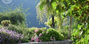 Beitragsbild des Blogbeitrags Ein Garten mit ökologischen Grundsätzen - naturnah und romantisch