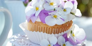 Beitragsbild des Blogbeitrags Cupcakes verziert mit Hornveilchen 