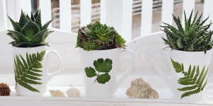Beitragsbild des Blogbeitrags Upcycling-Deko: Blumentopf für Sukkulenten aus Tassen selbermachen