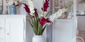 Beitragsbild des Blogbeitrags Sommerliche Blumendeko: Dekorieren mit Gladiolen 