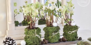 Beitragsbild des Blogbeitrags DIY Winterdeko aus Dosen und Moos
