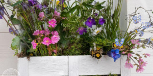 Beitragsbild des Blogbeitrags Blumenkistchen aus Obststeigen basteln